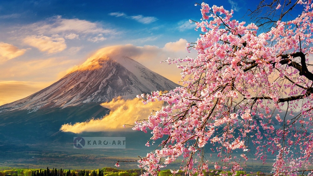 Schilderij - Vulkaan Fuji, Bloesem, Japan , Multikleur , 3 maten , Premium print afbeelding