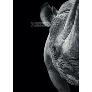 Karo-art Afbeelding op acrylglas - Neushoorn Karo-art Afbeelding op acrylglas - Neushoorn