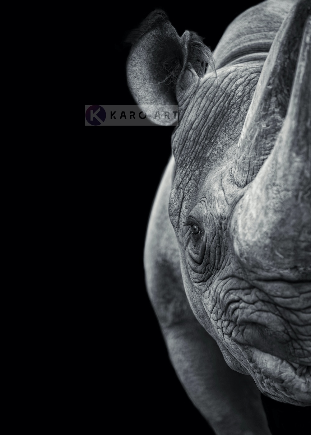 Afbeelding op acrylglas - Neushoorn Afbeelding op acrylglas - Neushoorn