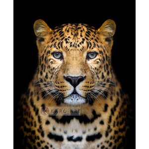 Karo-art Afbeelding op acrylglas - Luipaard Karo-art Afbeelding op acrylglas - Luipaard