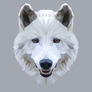 Karo-art Afbeelding op acrylglas - Wolf, digitaal Karo-art Afbeelding op acrylglas - Wolf, digitaal
