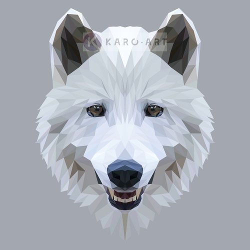 Karo-art Afbeelding op acrylglas - Wolf, digitaal