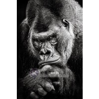 Karo-art Afbeelding op acrylglas - Gorilla