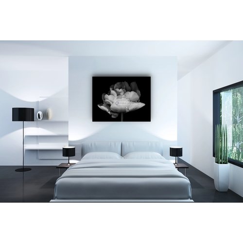 Karo-art Schilderij - Dubbele Tulp , Zwart wit , 3 maten , Premium print