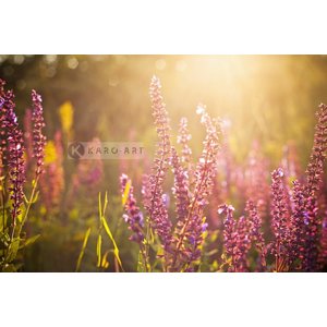 Karo-art Afbeelding op acrylglas - Wilde Bloemen Karo-art Afbeelding op acrylglas - Wilde Bloemen