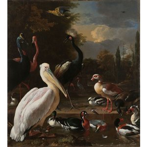 Melchior d'Hondecoeter - Het drijvend veertje 90x100cm , Rijksmuseum, premium print, print op canvas, oude meester