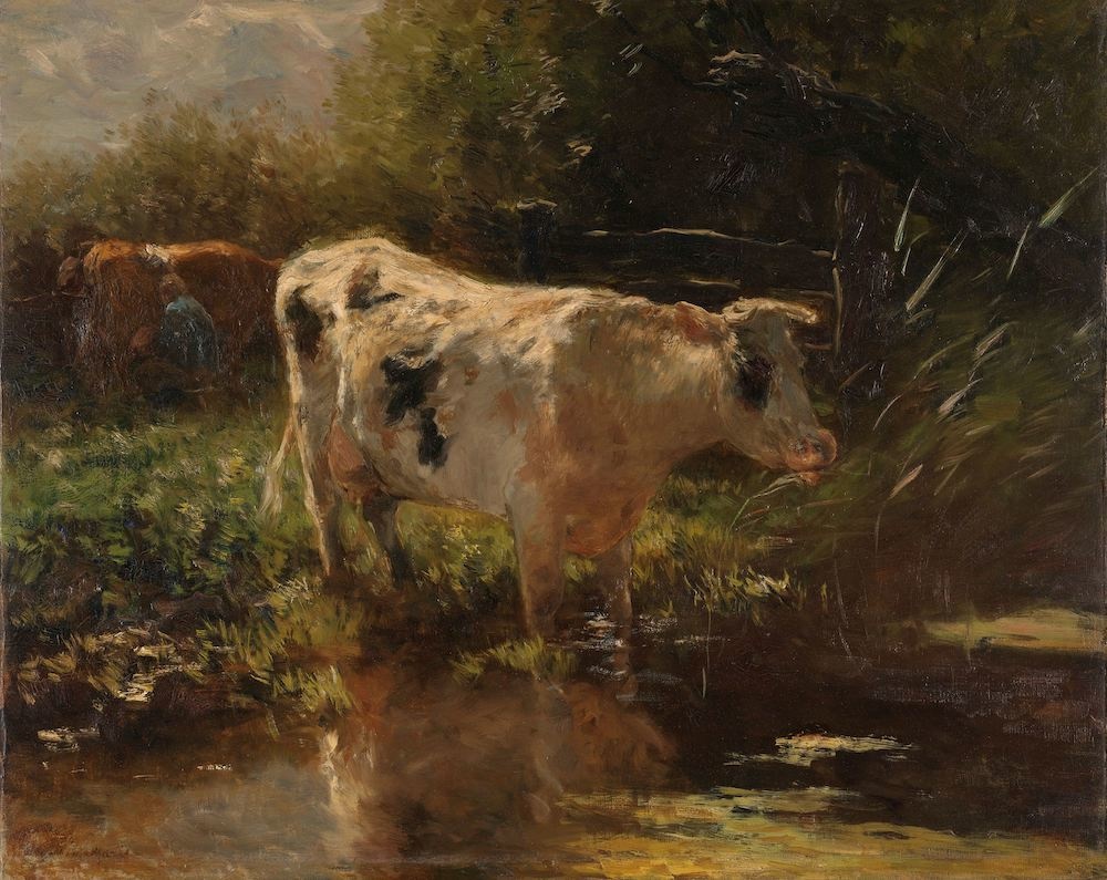 Willem Maris - Koe aan de slootkant 90x60cm, Rijksmuseum, premium print, print op canvas, oude meester