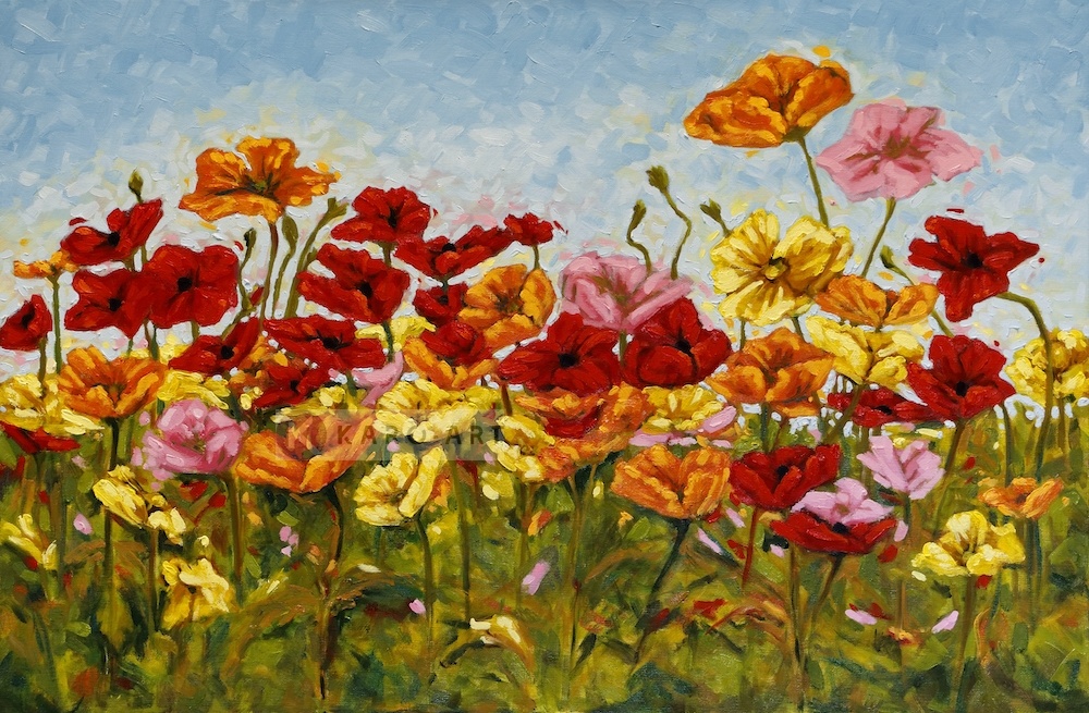 Afbeelding op acrylglas - Kleurrijke klaprozen, print op acrylglas Afbeelding op acrylglas - Kleurrijke klaprozen, print op acrylglas