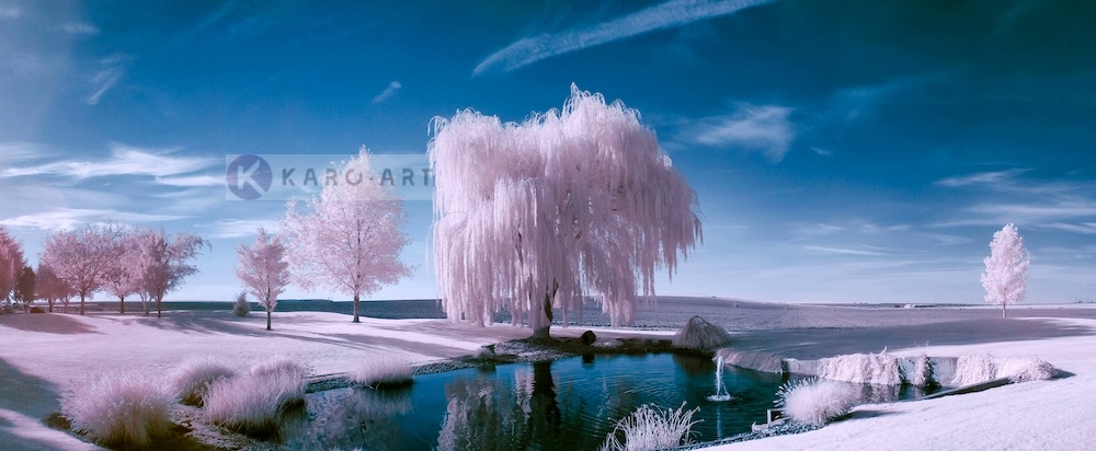 Schilderij - Roze bomen, roze/blauw, 2 maten , print op canvas, premium print afbeelding