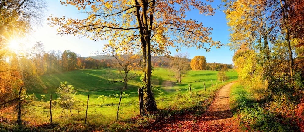 Schilderij - Herfst, panorama, groen,blauw ,2 maten , `premium Print afbeelding