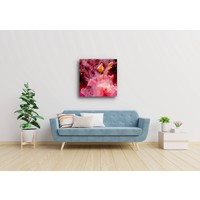 Karo-art Schilderij - Abstracte bloemknop, roze, geel , 3 maten , premium Print