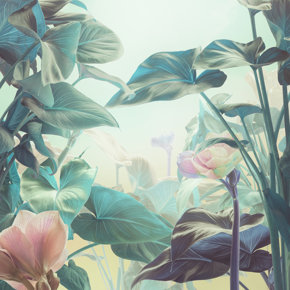 Schilderij - Magische tuin, print op canvas, groen , 3 maten ,Wanddecoratie afbeelding