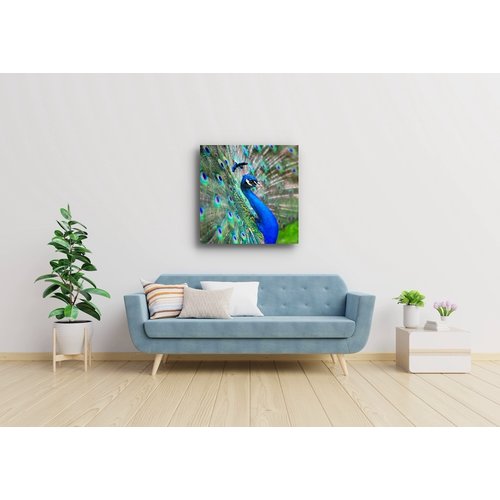 Karo-art Schilderij - Pauw, vol trots,  blauw/groen , 3 maten , Premium Print