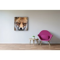 Karo-art Schilderij - Vos, close up ,Bruin wit , 3 maten , Premium Print