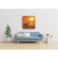 Schilderij - Antilope in Afrika Karo-art Schilderij - Antilope in Afrika