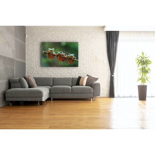 Karo-art Schilderij - Drie kikkers op een tak , Groen, 2 maten, Premium print