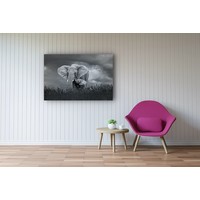 Karo-art Schilderij - Moeder en baby olifant, Zwart-Wit,  2 maten, Premium print