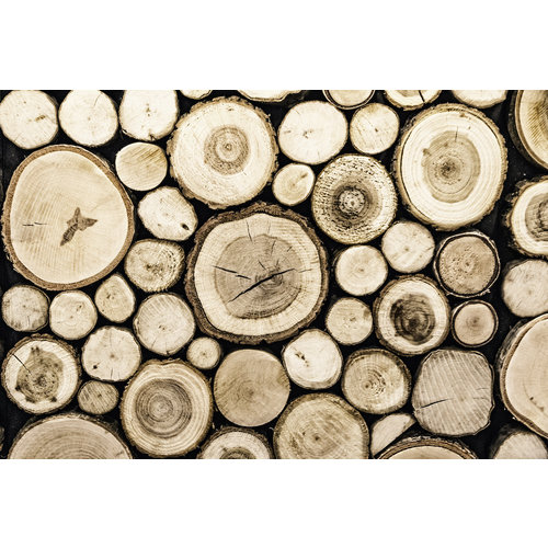 - Hout stapel, bruin, 2 maten, Premium print - Karo-art VOF