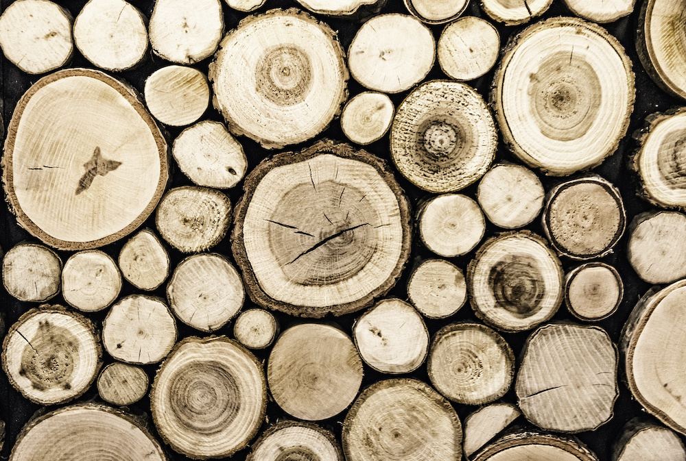 Schilderij - Hout stapel, bruin, 2 maten, Premium print afbeelding