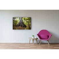 Karo-art Schilderij - Sumauma boom ,  2 maten, Premium print