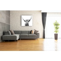 Karo-art Afbeelding op acrylglas - Hoogland koe, premium print, 3 maten