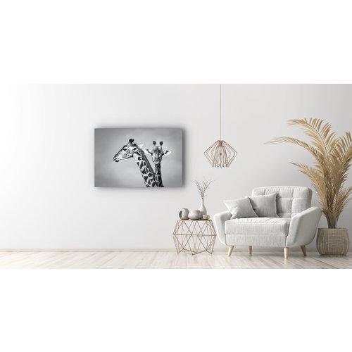 Karo-art Schilderij - Giraffen zwart-wit,  2 maten, Premium print