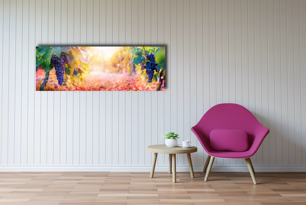 Schilderij -Druiven aan wijnranken, Premium print (wanddecoratie) afbeelding