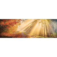 Karo-art Schilderij -Herfst bos, panorama, premium print print (wanddecoratie)