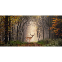 Karo-art Schilderij -Hert in het bos, premium print  , 2 maten (wanddecoratie)