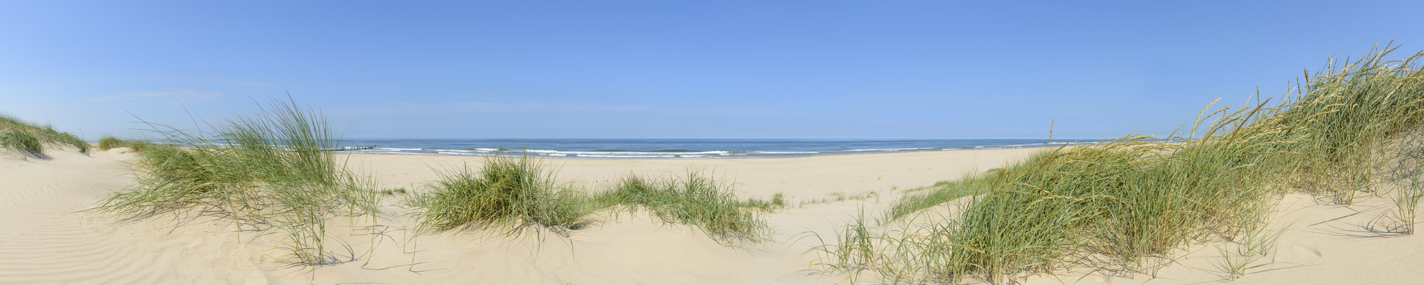 Schilderij -Tussen de duinen en zicht op de Noordzee , 150x30cm afbeelding