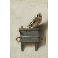 Karo-art Schilderij Carel Fabritius - Het puttertje, 1654, reproductie, Premium print