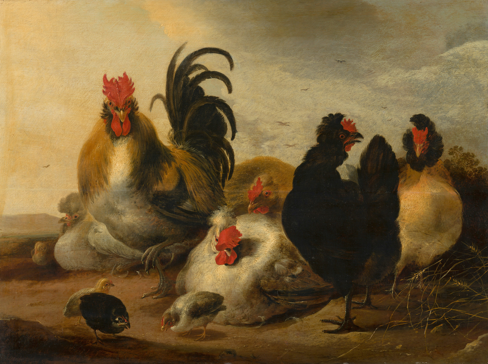 Schilderij - Gijsbert Gillisz d&apos; Hondecoeter, Haan en kippen in een landschap, 1651 afbeelding