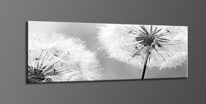 Schilderij - Paardenbloem in zwart/wit, 120x40cm. incl ophang haakjes afbeelding
