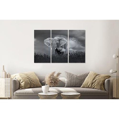 Karo-art Schilderij - Moeder en baby olifant, 3 luik, 120x80cm, wanddecoratie