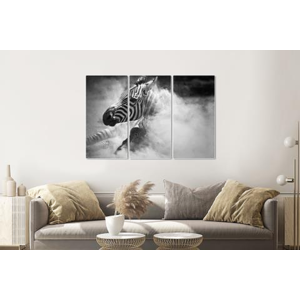 Karo-art Schilderij -Zebra in het stof,  3 luik, 120x80cm, premium print