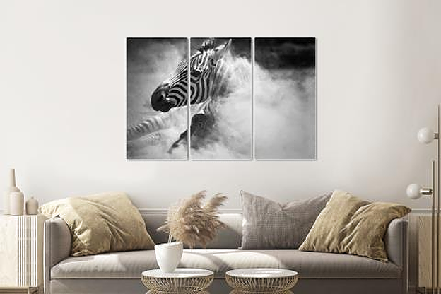 Schilderij -Zebra in het stof, 3 luik, 120x80cm, premium print afbeelding