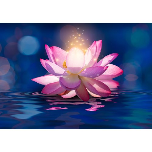 Karo-art Schilderij - Betoverende Lotus, 2 maten, premium print
