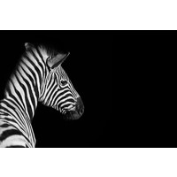 Karo-art Schilderij - Zebra zwart/wit, 2 maten, premium print