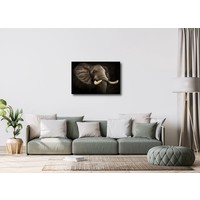 Karo-art Schilderij -Imposante Olifant, dieren,  100x70cm, Premium print