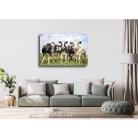 Karo-art Schilderij -Koeien op een rij , 3 maten, wanddecoratie , premium print