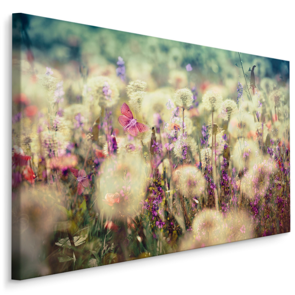 Schilderij - Weide bloemen , Wanddecoratie , Premium print afbeelding