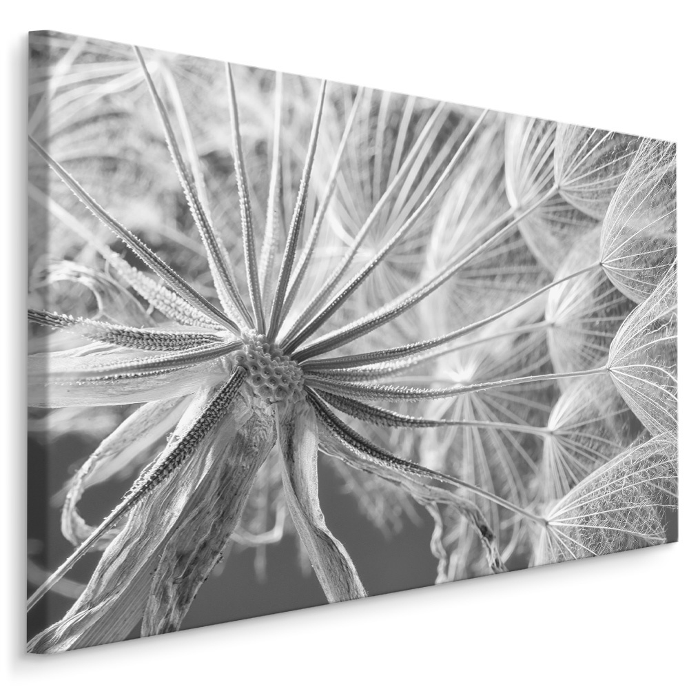 Schilderij - Close up van een Paardenbloem , Wanddecoratie , Premium print afbeelding