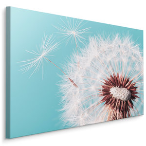 Schilderij -  Prachtige Paardenbloem  , Wanddecoratie , Premium print