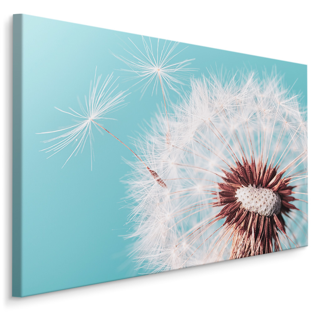 Schilderij - Prachtige Paardenbloem , Wanddecoratie , Premium print afbeelding