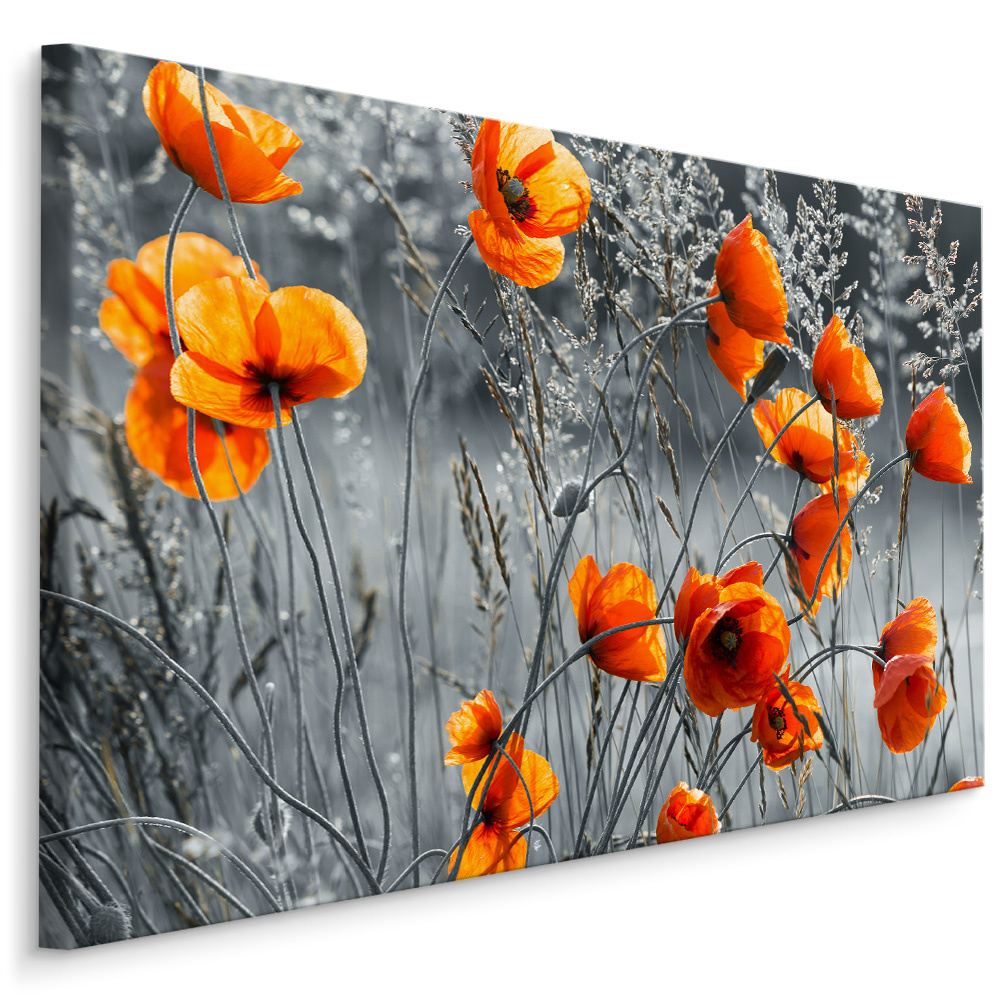 Schilderij - Prachtige Klaprozen , Wanddecoratie , Premium print afbeelding