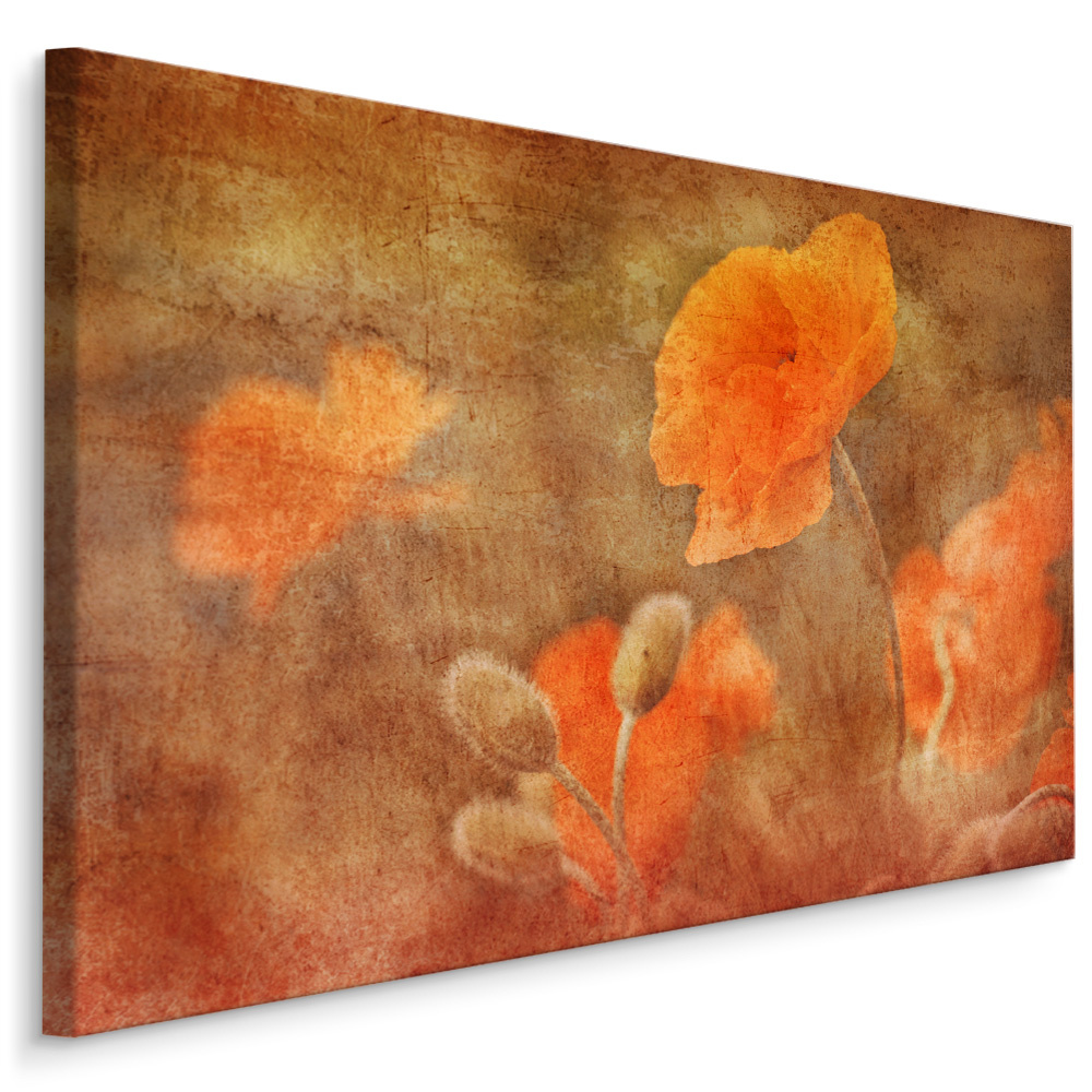 Schilderij - Vintage Klaprozen , Wanddecoratie , Premium print afbeelding