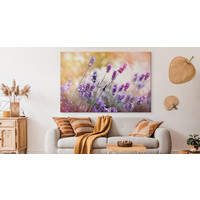 Schilderij -  Lavendel in bloei  , Wanddecoratie , Premium print