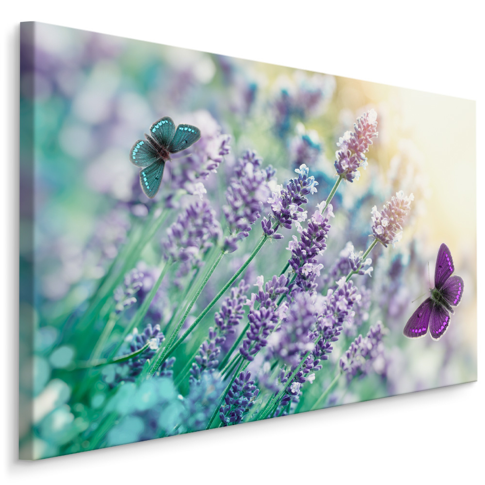 Schilderij - Lavendel en Vlinders , Wanddecoratie , Premium print afbeelding