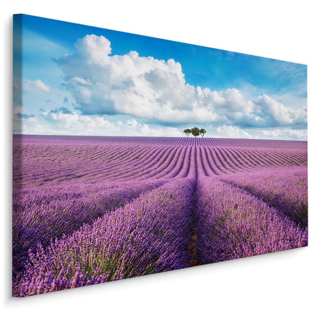 Schilderij - Prachtig Lavendelveld , Wanddecoratie , Premium print afbeelding