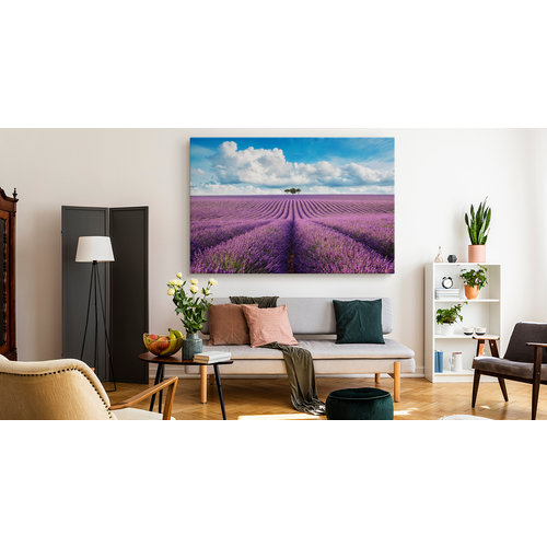 Schilderij -  Prachtig Lavendelveld  , Wanddecoratie , Premium print